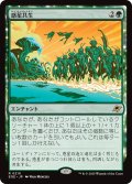 【JPN】惑星共生/Terrasymbiosis[MTG_EOE_0210_R]