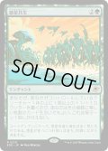 【JPN】惑星共生/Terrasymbiosis[MTG_EOE_0210_R]