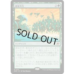 画像1: 【JPN】惑星共生/Terrasymbiosis[MTG_EOE_0210_R]