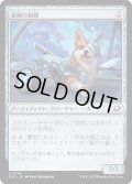【JPN】金属の相棒/Chrome Companion[MTG_EOE_0236_C]