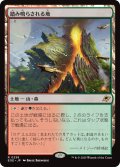 【JPN】踏み鳴らされる地/Stomping Ground[MTG_EOE_0258_R]