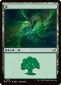 【JPN】森/Forest[MTG_EOE_0275_L]