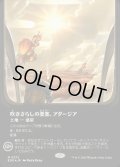 【JPN】★ギャラクシー・Foil★■ボーダーレス■吹きさらしの要塞、アダージア/Adagia, Windswept Bastion[MTG_EOE_0372_]