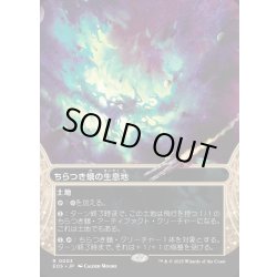 画像1: 【JPN】ちらつき蛾の生息地/Blinkmoth Nexus[MTG_EOS_0003_R]