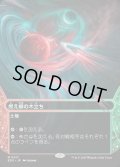 【JPN】燃え柳の木立ち/Grove of the Burnwillows[MTG_EOS_0017_M]