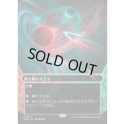 画像1: 【JPN】燃え柳の木立ち/Grove of the Burnwillows[MTG_EOS_0017_M]