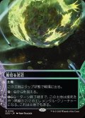 【JPN】風切る泥沼/Hissing Quagmire[MTG_EOS_0019_R]
