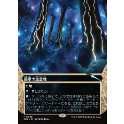 画像1: 【JPN】墨蛾の生息地/Inkmoth Nexus[MTG_EOS_0020_M]