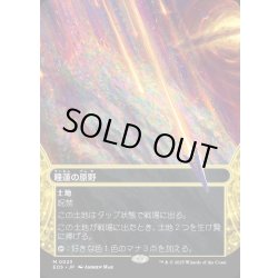 画像1: 【JPN】睡蓮の原野/Lotus Field[MTG_EOS_0023_M]