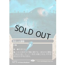 画像1: 【JPN】石化した原野/Petrified Field[MTG_EOS_0032_M]