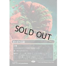 画像1: 【JPN】怒り狂う山峡/Raging Ravine[MTG_EOS_0035_R]