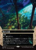 【JPN】群がりの庭/Swarmyard[MTG_EOS_0042_R]