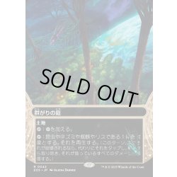 画像1: 【JPN】群がりの庭/Swarmyard[MTG_EOS_0042_R]