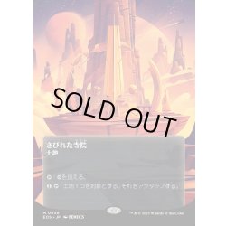 画像1: 【JPN】さびれた寺院/Deserted Temple[MTG_EOS_0056_M]