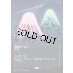 画像1: 【JPN】燃え柳の木立ち/Grove of the Burnwillows[MTG_EOS_0062_M]