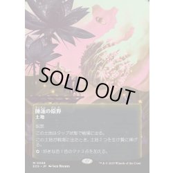 画像1: 【JPN】睡蓮の原野/Lotus Field[MTG_EOS_0068_M]