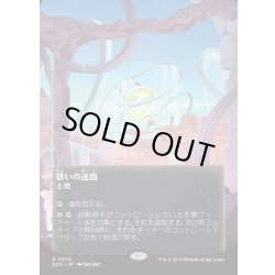 画像1: 【JPN】惑いの迷路/Mystifying Maze[MTG_EOS_0074_R]