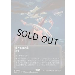 画像1: 【JPN】巣ごもりの地/Nesting Grounds[MTG_EOS_0076_R]
