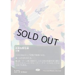 画像1: 【JPN】活発な野生林/Stirring Wildwood[MTG_EOS_0084_R]