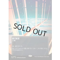 画像1: 【JPN】露天鉱床/Strip Mine[MTG_EOS_0085_M]