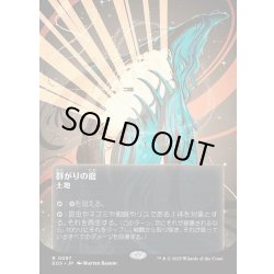 画像1: 【JPN】群がりの庭/Swarmyard[MTG_EOS_0087_R]