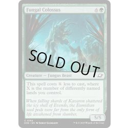 画像1: 【ENG】菌類の巨獣/Fungal Colossus[MTG_EOE_0184_C]