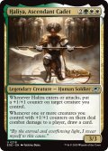 【ENG】頭角表す士官候補生、ハリーヤ/Haliya, Ascendant Cadet[MTG_EOE_0218_U]