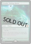 【ENG】目覚めの安息地、エヴェンド/Evendo, Waking Haven[MTG_EOE_0253_M]