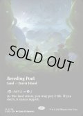 【ENG】■ボーダーレス■繁殖池/Breeding Pool[MTG_EOE_0278_R]