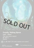 【ENG】■ボーダーレス■目覚めの安息地、エヴェンド/Evendo, Waking Haven[MTG_EOE_0279_M]