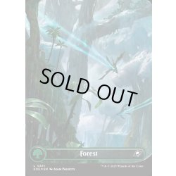 画像1: 【ENG】★ギャラクシー・Foil★森/Forest[MTG_EOE_0371_]