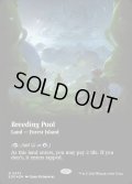 【ENG】★ギャラクシー・Foil★■ボーダーレス■繁殖池/Breeding Pool[MTG_EOE_0373_]