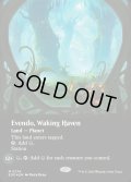 【ENG】★ギャラクシー・Foil★■ボーダーレス■目覚めの安息地、エヴェンド/Evendo, Waking Haven[MTG_EOE_0374_]