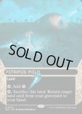 【ENG】石化した原野/Petrified Field[MTG_EOS_0032_M]