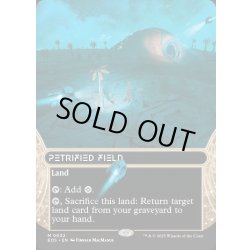 画像1: 【ENG】石化した原野/Petrified Field[MTG_EOS_0032_M]