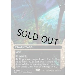 画像1: 【ENG】群がりの庭/Swarmyard[MTG_EOS_0042_R]