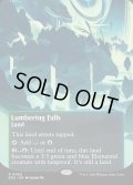 【ENG】伐採地の滝/Lumbering Falls[MTG_EOS_0069_R]