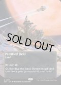 【ENG】石化した原野/Petrified Field[MTG_EOS_0077_M]
