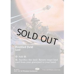 画像1: 【ENG】石化した原野/Petrified Field[MTG_EOS_0077_M]