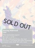 【ENG】活発な野生林/Stirring Wildwood[MTG_EOS_0084_R]