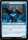 【JPN】博学の魔術師/Erudite Wizard [MTG_FDN_0037_C]