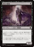 【JPN】寄生の賢者/Infestation Sage [MTG_FDN_0064_C]
