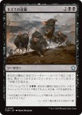 【JPN】ネズミの逆襲/Revenge of the Rats [MTG_FDN_0067_U]