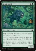 【JPN】待ち伏せる狼/Ambush Wolf [MTG_FDN_0098_C]