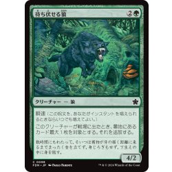 画像1: 【JPN】待ち伏せる狼/Ambush Wolf [MTG_FDN_0098_C]