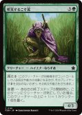 【JPN】哄笑するこそ泥/Cackling Prowler [MTG_FDN_0101_C]