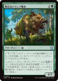 【JPN】熱心なトリュフ嗅ぎ/Eager Trufflesnout [MTG_FDN_0102_U]