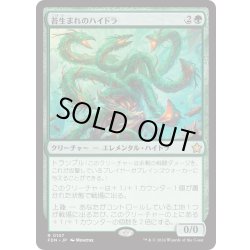 画像1: 【JPN】苔生まれのハイドラ/Mossborn Hydra [MTG_FDN_0107_R]