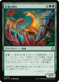 【JPN】針歯の群れ/Needletooth Pack [MTG_FDN_0108_U]