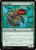 【JPN】樹上の罠紡ぎ/Treetop Snarespinner [MTG_FDN_0114_C]